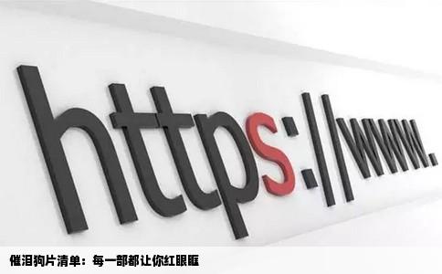 催泪狗片清单：每一部都让你红眼眶