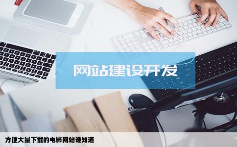 方便大量下载的电影网站谁知道
