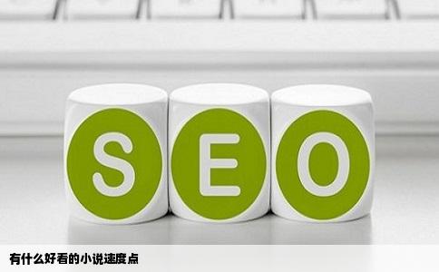 有什么好看的小说速度点