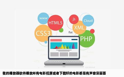 我的播放器软件播放所有电影视屏或者下载好的电影都是有声音没画面