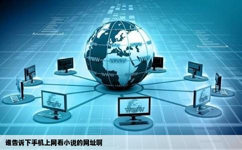 谁告诉下手机上网看小说的网址啊