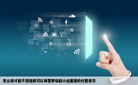 怎么样才能不用钱就可以看菠萝包轻小说里面的付费章节