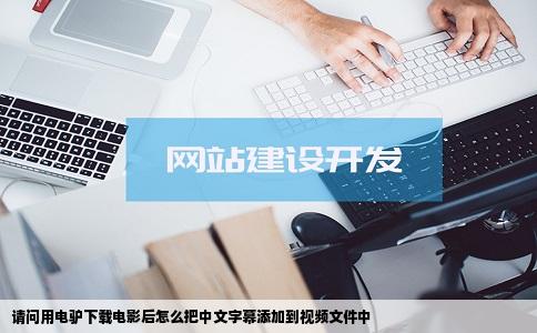 请问用电驴下载电影后怎么把中文字幕添加到视频文件中