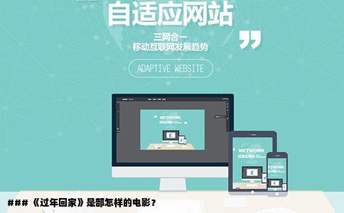 ### 《过年回家》是部怎样的电影？