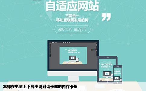 怎样在电脑上下载小说到读卡器的内存卡里