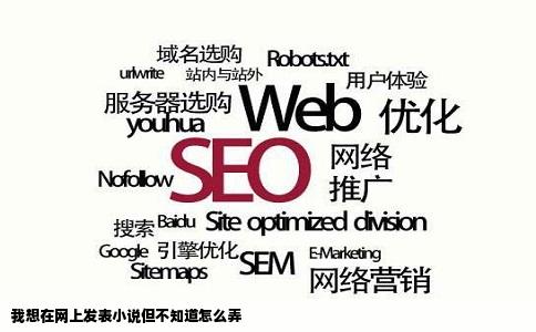 我想在网上发表小说但不知道怎么弄