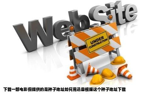 下载一部电影但提供的是种子地址如何用迅雷根据这个种子地址下载