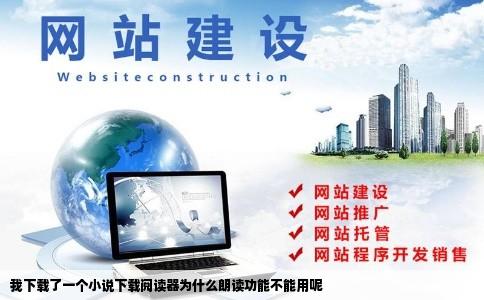 我下载了一个小说下载阅读器为什么朗读功能不能用呢
