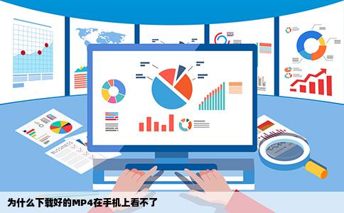 为什么下载好的MP4在手机上看不了