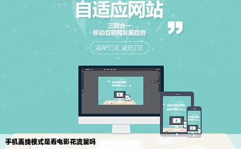 手机离线模式是看电影花流量吗