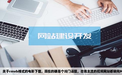 关于rmvb格式的电影下载，现在的确是个冷门话题，毕竟主流的视频网站都转向MP4、MKV了，但当年那种一个700MB左右的电影省空间又好存的时代，还是有不少人怀念的，尤其是一些老片、经典剧集，或者对存储空间不那么宽裕的设备来说，rmvb依然有它的实用价值。所以，除了视频网站，现在还能去哪儿搞到这种格式的资源呢？