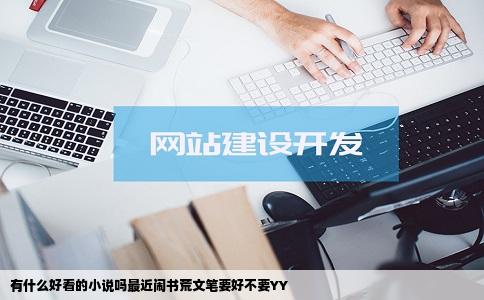 有什么好看的小说吗最近闹书荒文笔要好不要YY