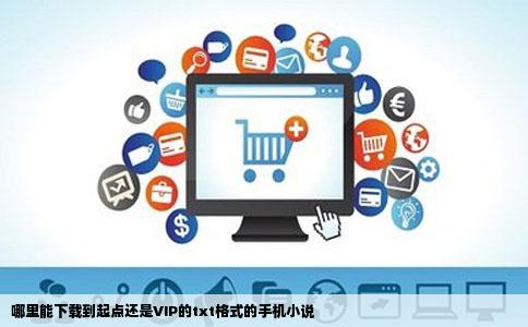 哪里能下载到起点还是VIP的txt格式的手机小说