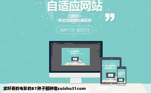 求好看的电影的BT种子那种哦zuishu31com