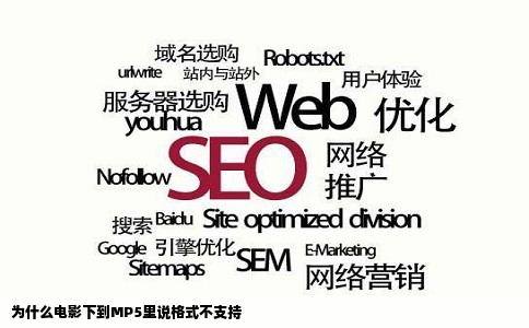 为什么电影下到MP5里说格式不支持