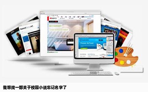 我想找一部关于校园小说忘记名字了