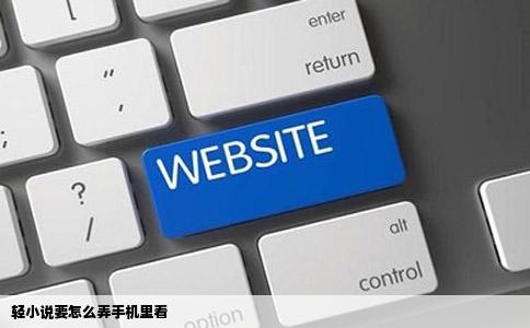 轻小说要怎么弄手机里看