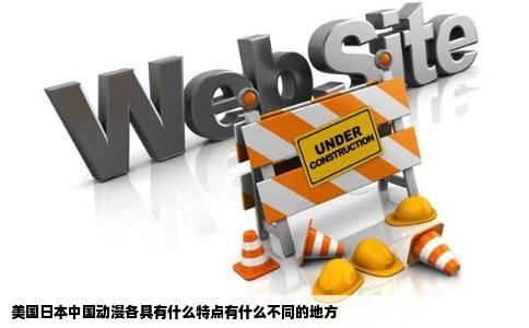 美国日本中国动漫各具有什么特点有什么不同的地方