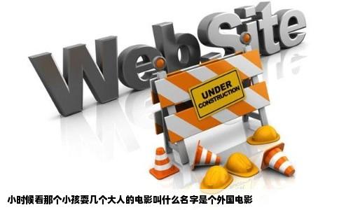 小时候看那个小孩耍几个大人的电影叫什么名字是个外国电影