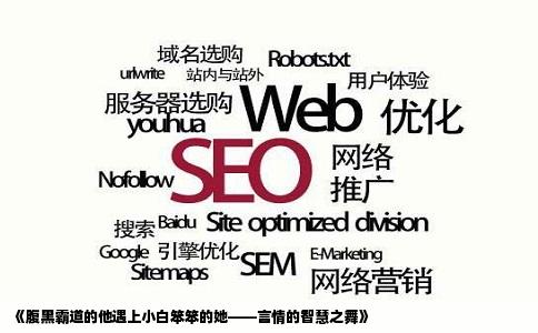 《腹黑霸道的他遇上小白笨笨的她——言情的智慧之舞》