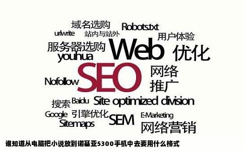 谁知道从电脑把小说放到诺基亚5300手机中去要用什么格式