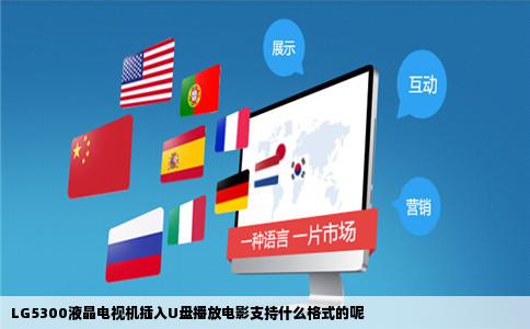 LG5300液晶电视机插入U盘播放电影支持什么格式的呢