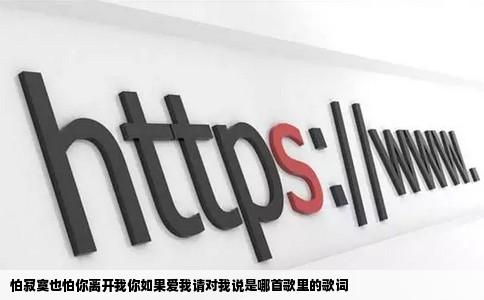 怕寂寞也怕你离开我你如果爱我请对我说是哪首歌里的歌词