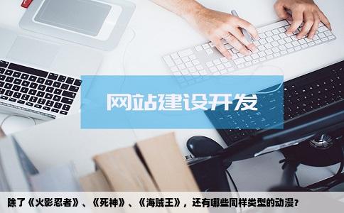 除了《火影忍者》、《   神》、《海贼王》，还有哪些同样类型的动漫？