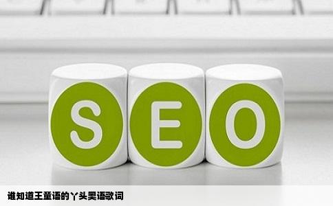 谁知道王童语的丫头奥语歌词