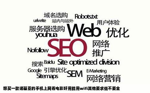 想买一款诺基亚的手机上网看电影好用能用wifi其他要求低不要全