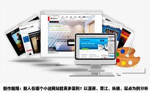 新作翱翔：新人在哪个小说网站能更多盈利？以潇湘、晋江、纵横、起点为例分析