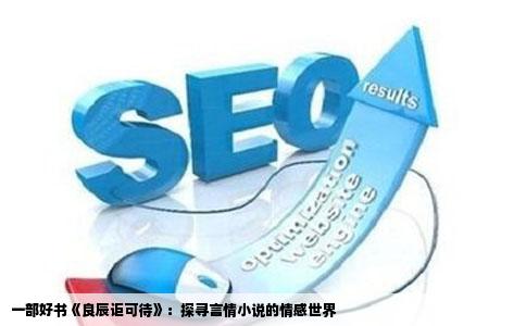 一部好书《良辰讵可待》：探寻言情小说的情感世界