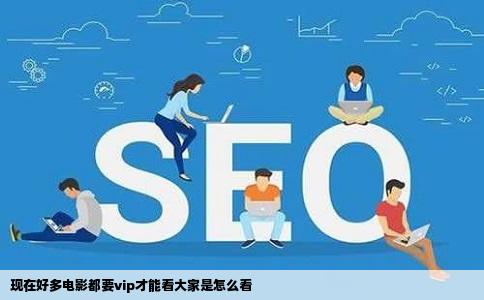 现在好多电影都要vip才能看大家是怎么看