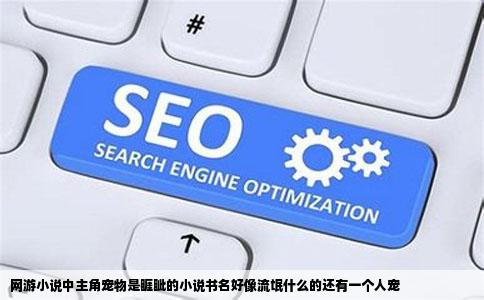 网游小说中主角宠物是睚眦的小说书名好像流氓什么的还有一个人宠