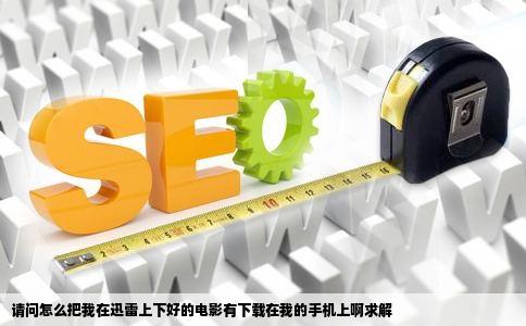 请问怎么把我在迅雷上下好的电影有下载在我的手机上啊求解