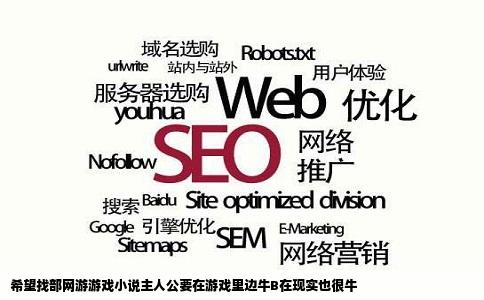 希望找部网游游戏小说主人公要在游戏里边牛B在现实也很牛