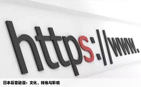 日本后宫动漫：文化、特色与影响