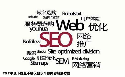 TXT小说下载至手机仅显示半数内容解决方案