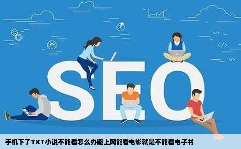 手机下了TXT小说不能看怎么办能上网能看电影就是不能看电子书