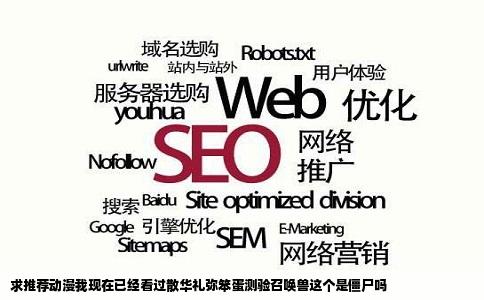 求推荐动漫我现在已经看过散华礼弥笨蛋测验召唤兽这个是僵尸吗