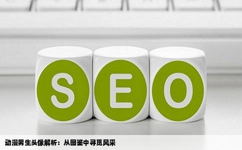 动漫男生头像解析：从图鉴中寻觅风采