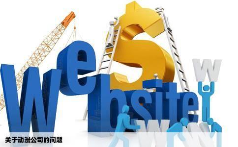 关于动漫公司的问题
