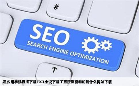 怎么用手机直接下载TXT小说下载了直接就能看的到什么网站下载
