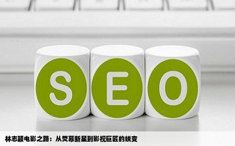 林志颖电影之路：从荧幕新星到影视巨匠的蜕变