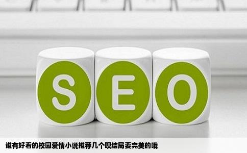 谁有好看的校园爱情小说推荐几个呗结局要完美的哦