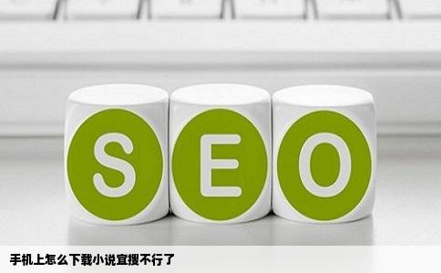 手机上怎么下载小说宜搜不行了