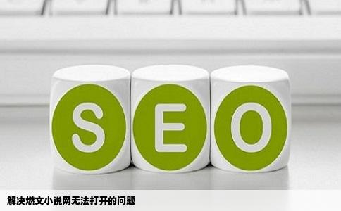 解决燃文小说网无法打开的问题