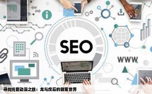 寻找纯爱动漫之旅：龙与虎后的甜蜜世界