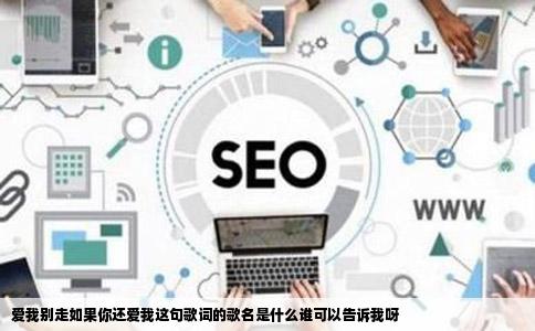 爱我别走如果你还爱我这句歌词的歌名是什么谁可以告诉我呀