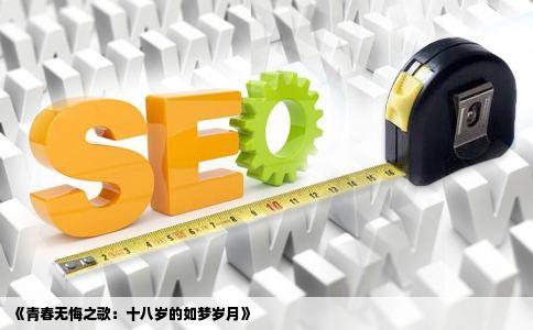 《青春无悔之歌：十八岁的如梦岁月》